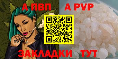 шишки Обь
