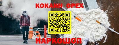 шишки Обь