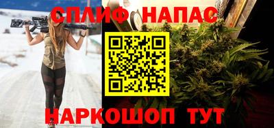 шишки Обь